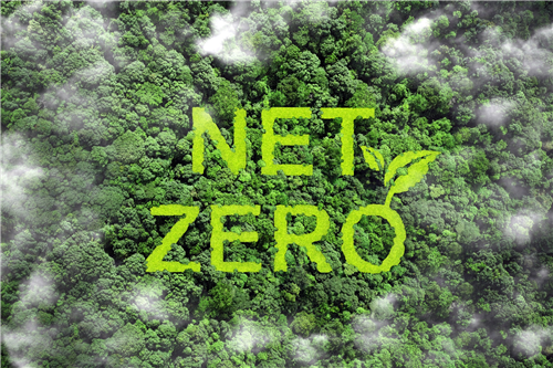 North East Local Section: The Road to NET ZERO