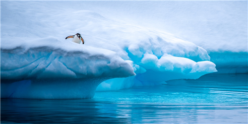Anglia Local Section: Voyages to the Antarctic – The ozone hole and climate change.